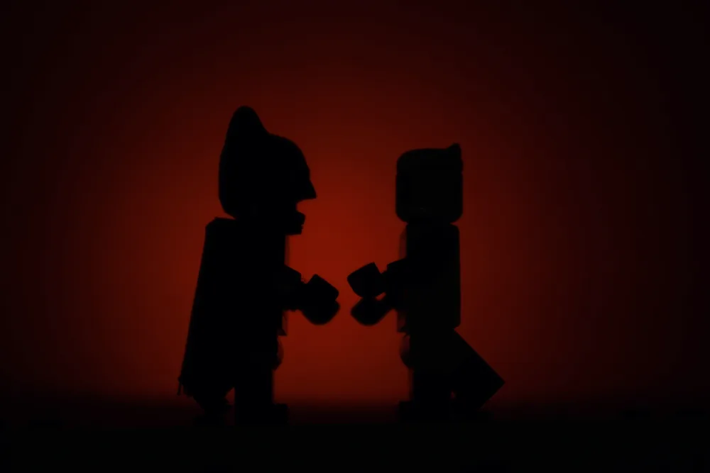 Batman and Catwoman: LEGO photography by Lewis Pritchard Batman and Catwoman: LEGO photography by Lewis Pritchard