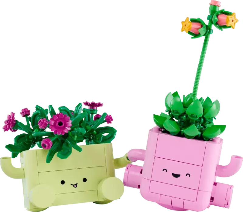 Meet the Rocking Plants