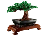 Green bonsai tree on stand.