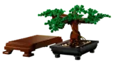 Bonsai pot and stand separated.
