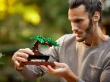 Man holding green bonsai.