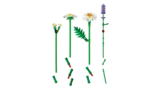 LEGO Daisies components.