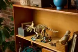 LEGO Triceratops displayed on a shelf.