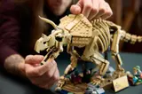 Posing the LEGO Triceratops skeleton's head.