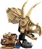 Completed LEGO Triceratops Skull model.