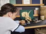 Child observing LEGO Triceratops Skull.