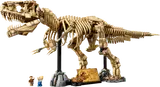 Full LEGO T-Rex skeleton model