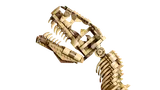 T-Rex head close-up