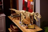 T-Rex skeleton on display