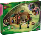 LEGO Elphaba's Retreat box back.