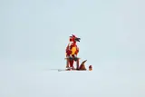 Complete Fawkes set displayed on a simple background.
