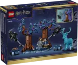 Forbidden Forest box back
