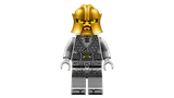 15th Anniversary Cole minifigure.