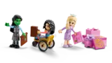 All Shiz minifigures.