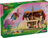 LEGO Wicked box back.