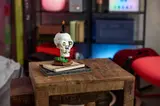 Skull on coffee table with notebooks