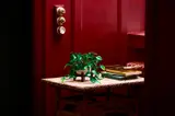 LEGO Pothos in a home setting.