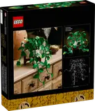 Box back with plant customization views.