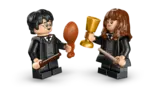 Harry and Hermione close-up.