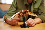 Hands activating flying machine wings.