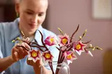 Arranging Magnolia Branches.