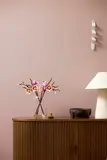 Magnolia Branches on display.