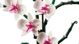 Close-up of LEGO Orchid flowers.