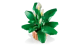 Top-down view of assembled LEGO Peace Lily.