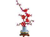 Plum Blossom model front view.