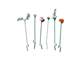 Flowers with stems.