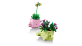Rocking Plants from an angle.