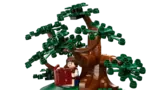Samwise under the tree.