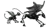 Thestrals in dynamic pose.