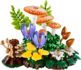 Assembled Woodland Mushrooms.