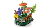 Angled view of mushrooms.