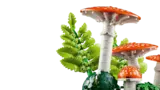 Fly Agaric stems and ferns.