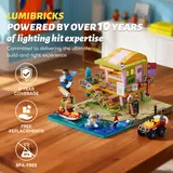 Lumibricks 10 years expertise infographic.