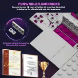Patented Lumibricks wiring brick.