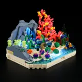 Illuminated coral reef close-up with blue cave glow.